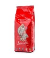 Kawa ziarnista Lucaffe Mamma Lucia 1kg